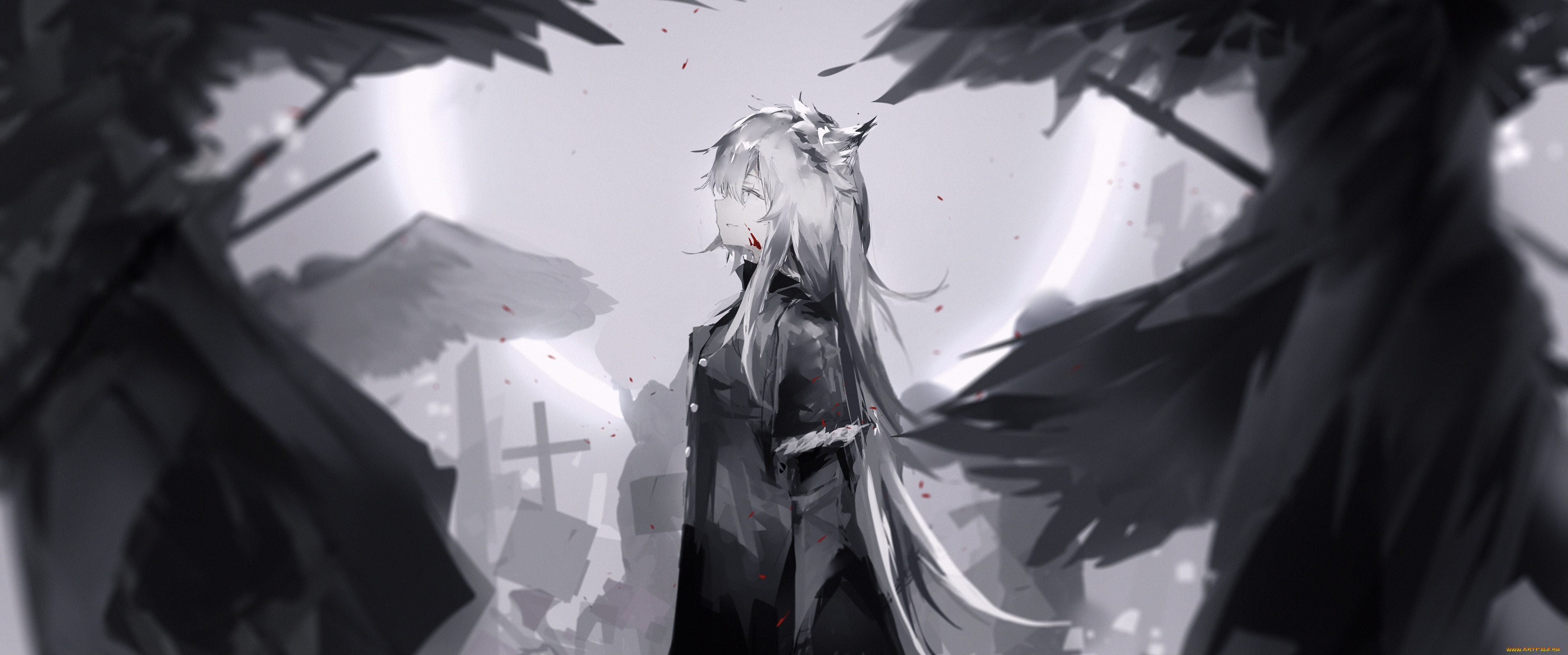 , arknights